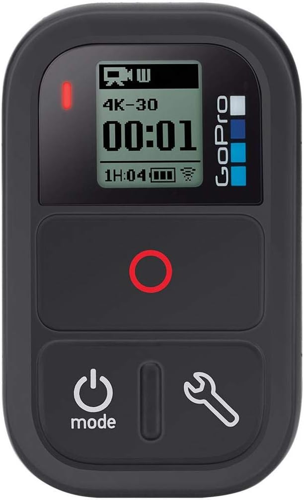 GoPro Smart Remote Control - Compatible with HERO8 Black, MAX, HERO7 Black, HERO6 Black, HERO5 Black, HERO5 Session, and Fusion (GoPro Official Accessory)